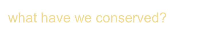 what have we conserved?