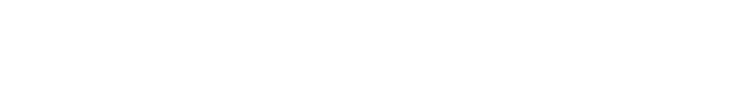 Simulation Modelling