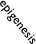 epigenesis