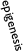 epigenesis
