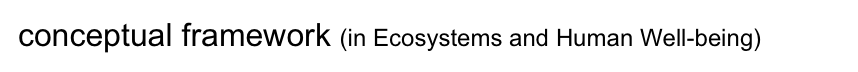 conceptual framework (in Ecosystems and Human Well-being) 