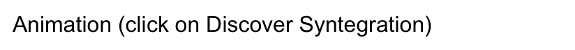 Animation (click on Discover Syntegration)